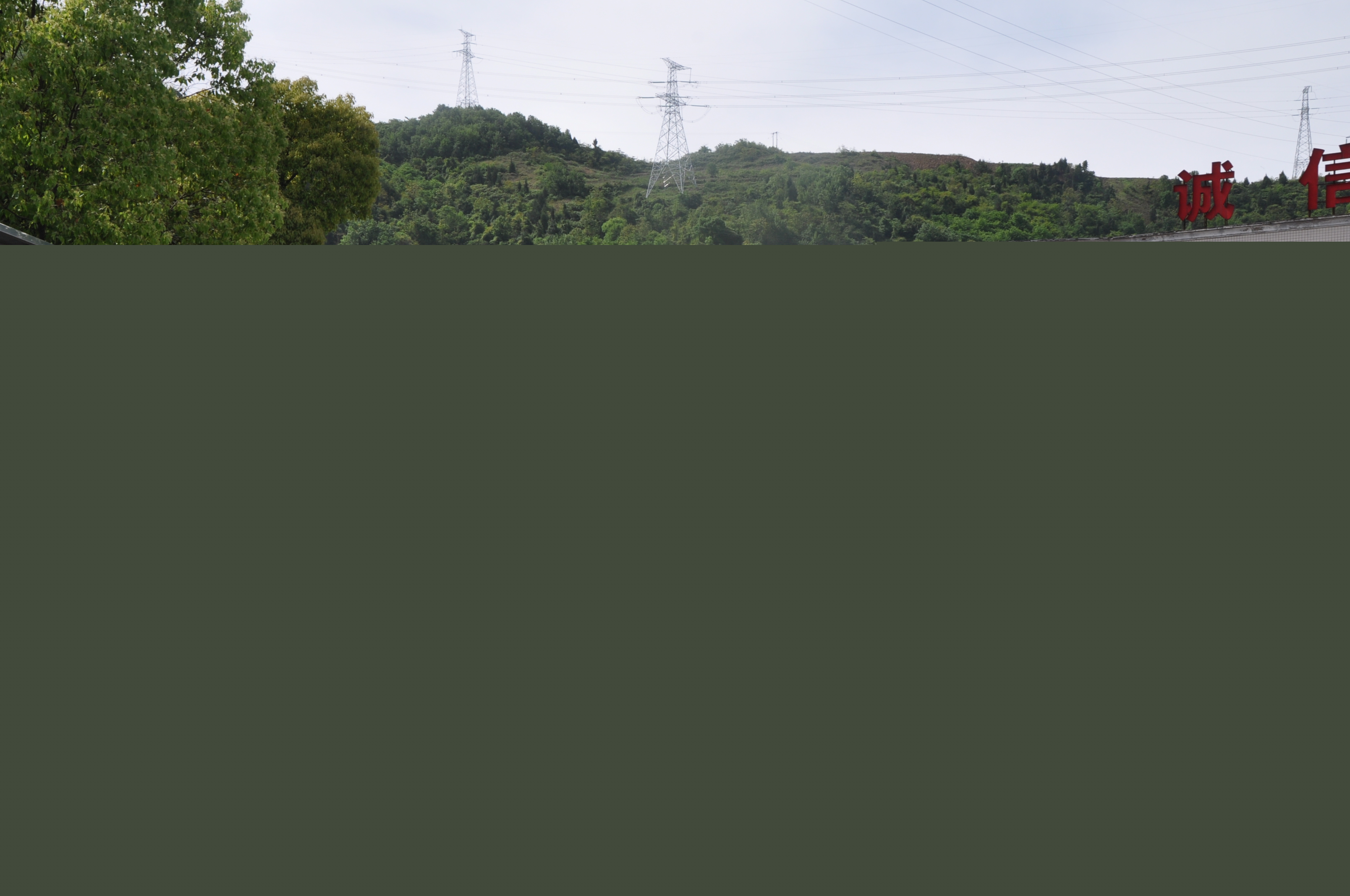 1619779422389402.jpg